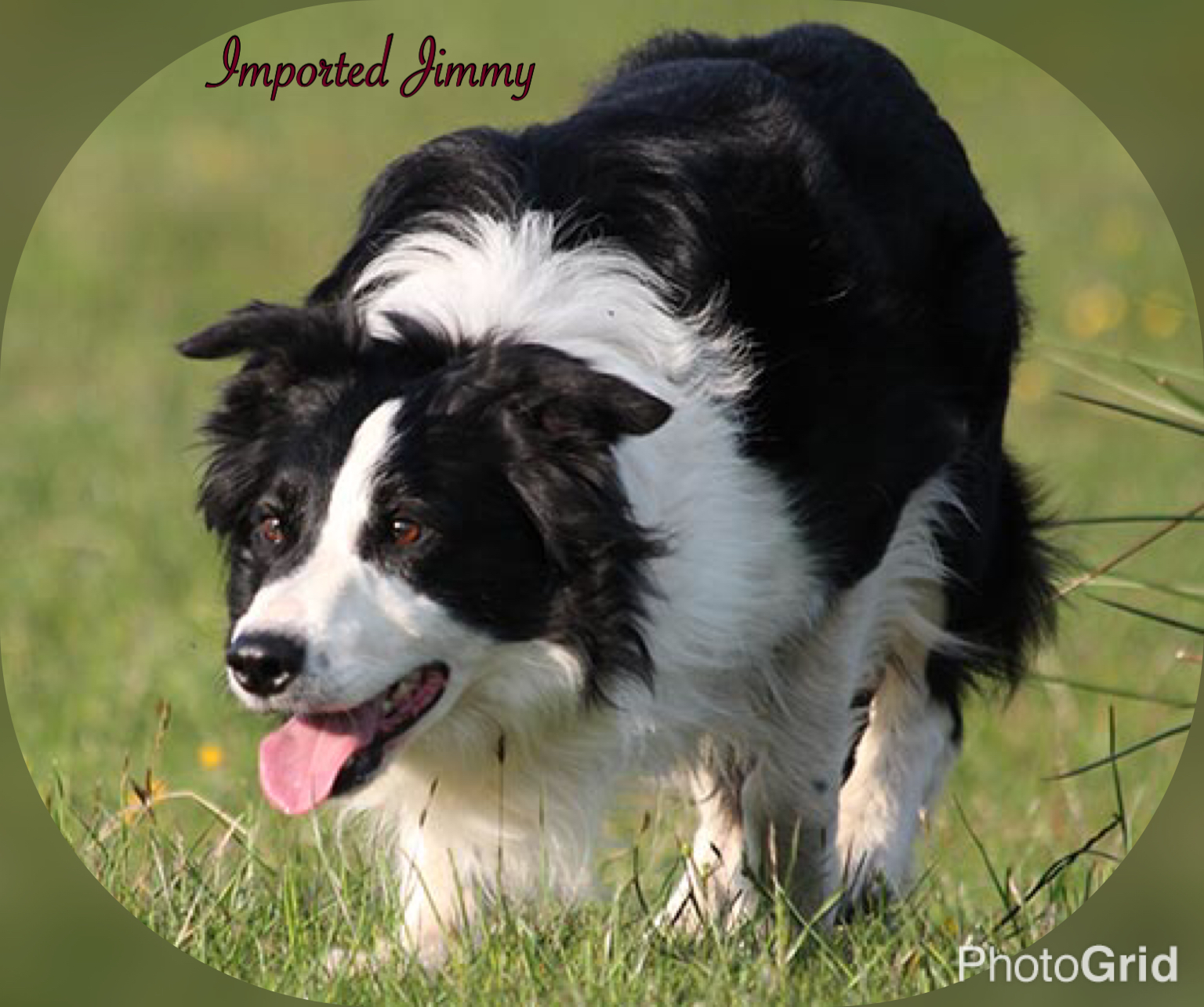 e8c51-img_4577.jpg?w=1536